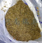 2021年適合投資酒糟烘干機嗎？